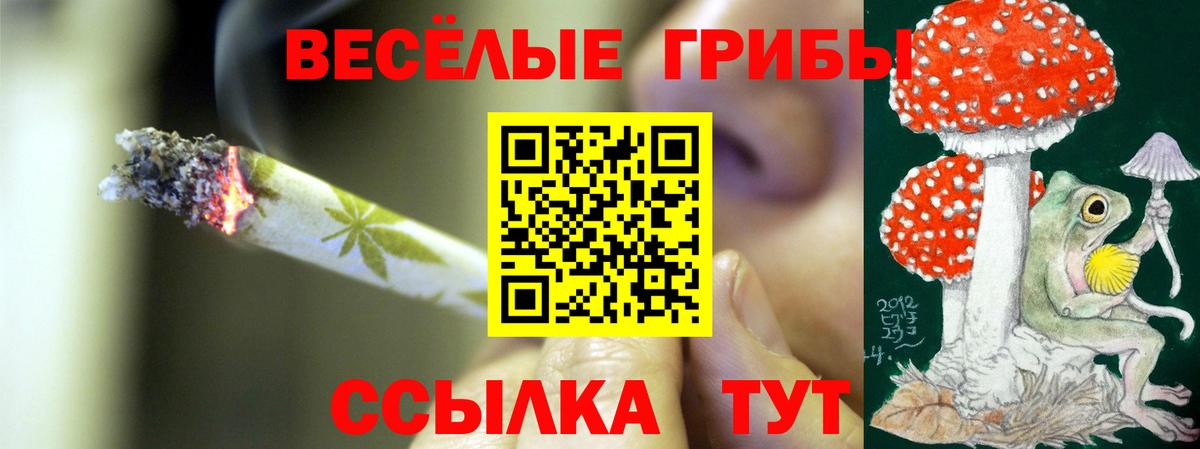 Псилоцибиновые грибы мицелий  Вход с VPN  цены   Полысаево 